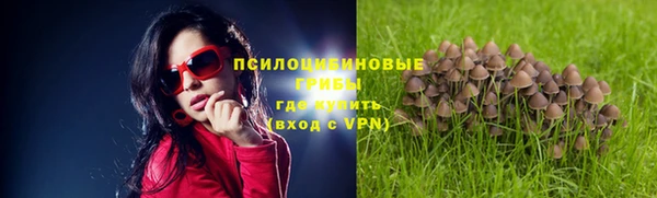 хмурый Вязьма